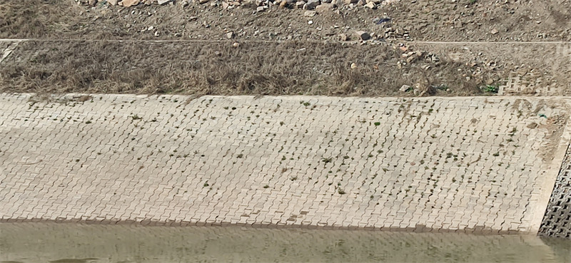 1685603506887165.jpg 07.jpg