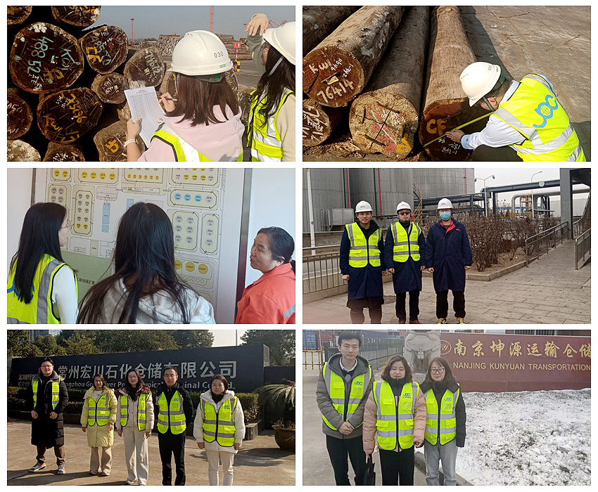 1770193780540216.jpg NeoImage_副本.jpg